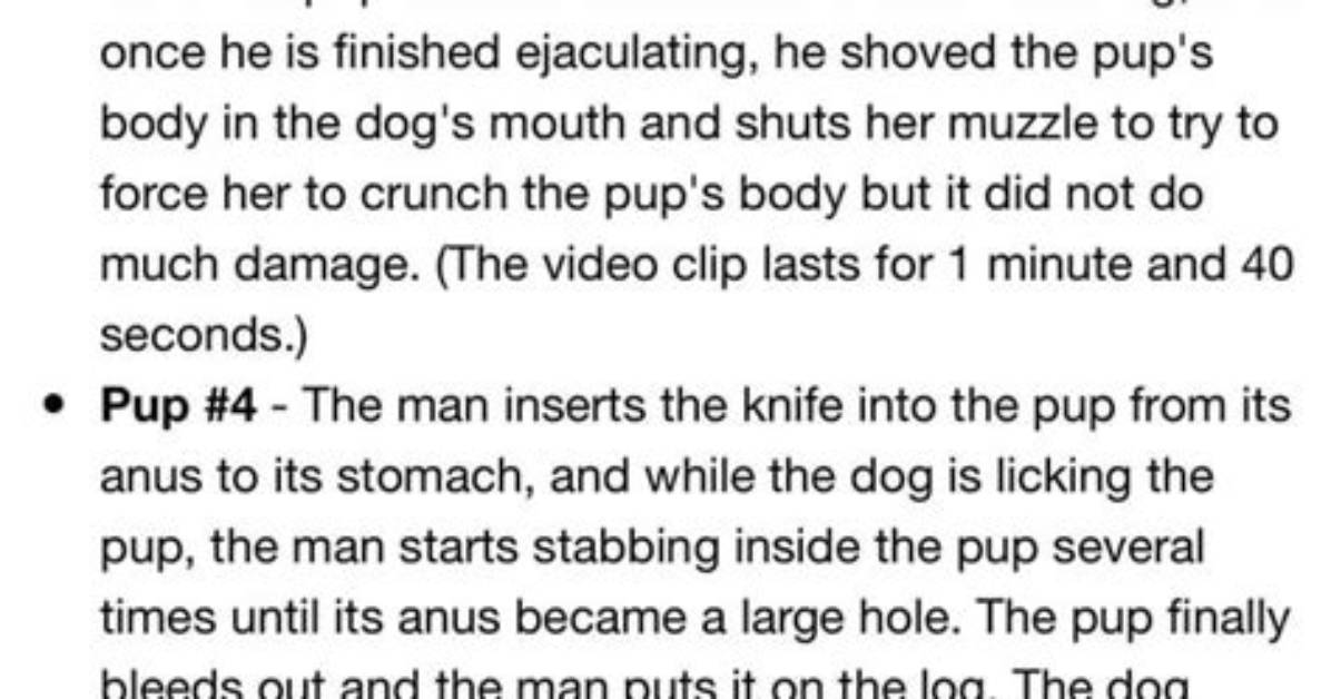 1 Bitch 9 Puppies Video Gore on Twitter and Reddit
