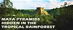 10+1 Maya Pyramids Hidden in the Yucatan Tropical Rainforests