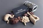 10 Alarming Facts About Organ Trafficking