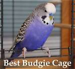 10 Best Budgie Cages in 2024 - Reviews & Top Picks
