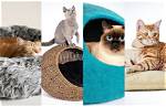 10 Best Cat Beds in 2024: Reviews & Top Picks