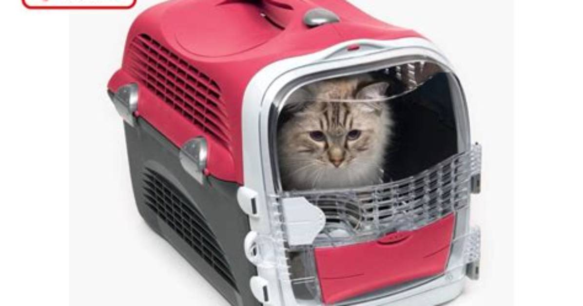10 Best Cat Carriers in the Uk in 2024 - Reviews & Top Picks