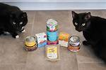 10 Best Cat Foods in 2024 - Reviews & Top Picks