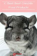10 Best Chinchilla Treats in 2024 - Reviews & Top Picks
