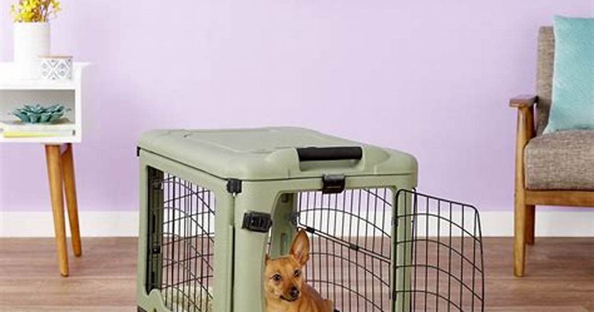 10 Best Crates for Small Dogs in 2024 - Reviews & Top Picks