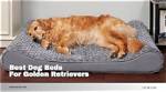 10 Best Dog Beds for Golden Retrievers in 2024 - Reviews & Top Picks