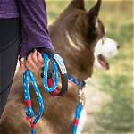 10 Best Dog Leashes in 2024 - Reviews & Top Picks