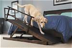 10 Best Dog Ramps for Beds in 2024 - Reviews & Top Picks
