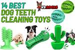 10 Best Dog Teeth Cleaning Toys in 2024 - Reviews & Top Picks