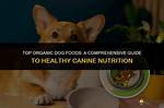 10 Best Organic Dog Foods in 2024 - Reviews & Top Picks