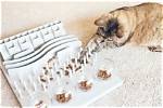 10 Best Slow Feeder Cat Bowls in 2024: Reviews & Top Picks