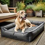 10 Best Waterproof Dog Beds in 2024 — Reviews & Top Picks