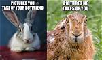 10 Funny Rabbit Memes Guaranteed to Make You Laugh | Pangovet
