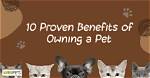 10 Health Benefits of Owning a Pet: Vet-Approved Facts