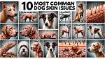 10 Most Common Skin Issues in Dogs: Vet Approved Signs & Treatments