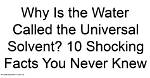 10 Shocking Facts You Never Knew in 2024!