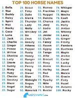 100+ Famous Horse Names: Ideas for Famed & Celebrated Horses