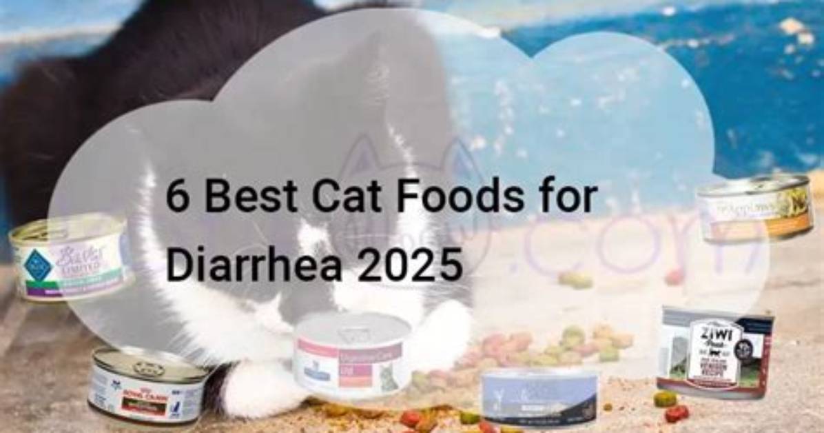 11 Best Cat Foods for Diarrhea in 2024 - Reviews & Top Picks