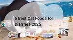 11 Best Cat Foods for Diarrhea in 2024 - Reviews & Top Picks