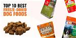 11 Best Freeze-Dried Dog Foods in 2024 - Reviews & Top Picks