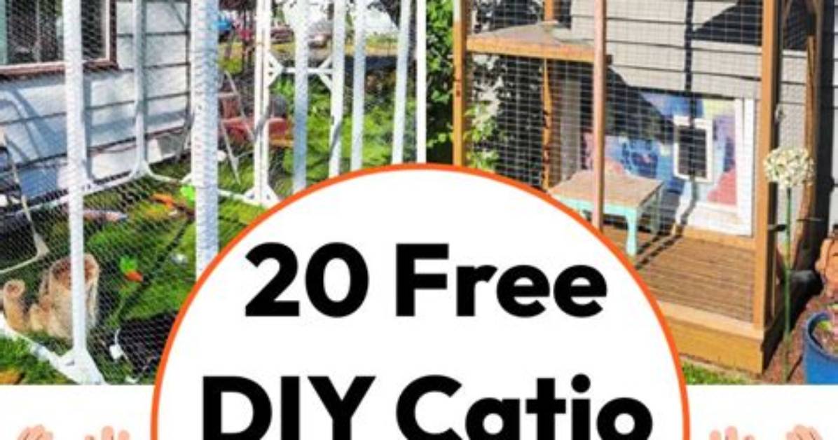 11 Diy Catio Plans You Can Build Today (With Pictures) | Pangovet
