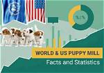 13 Heartbreaking Puppy Mill Statistics & Facts: 2024 Update