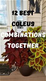 15 Combinations of 12