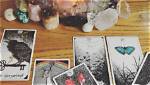 15 Tarot Decks for Experienced / Advanced Tarot Reader Students -