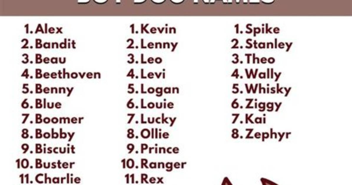 150+ Boy Dog Names for Your Male Dog: Unique & Popular Ideas