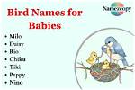 160+ Bird Names for Babies