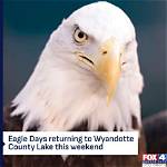 🦅 17Th Annual Eagle Days at Wyandotte County Lake Park | Macaroni Kid Overland Park - Olathe