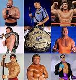 1993 Wwf Should Have Been a Transitional Year Like 2005