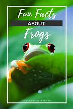 20 Fascinating Frog Facts You Should Know