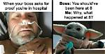 20 Hilarious Memes and Photos About the Hazards of Cat Ownership