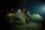 20 of the Strangest Things Found Under the Sea