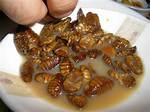 20 of the Weirdest Foods People Eat Around the World