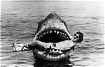 20 Weird Sharks You Had No Idea Existed