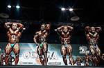 212 Mr Olympia Winners: Who Won the 212 Category This Year?