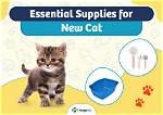 23 Essential Supplies for a New Cat: 2024 Update