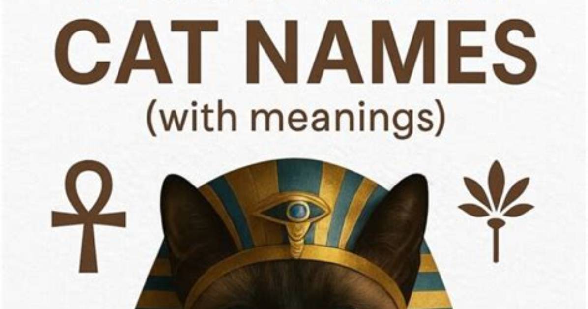 300 Egyptian Cat Names: Elegant Options for Your Cat (With Meanings) | Pangovet