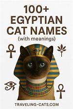 300 Egyptian Cat Names: Elegant Options for Your Cat (With Meanings) | Pangovet