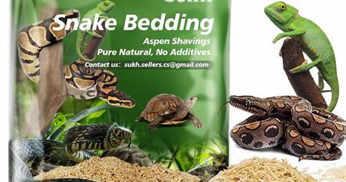 4 Alternatives to Snake Bedding Found in Your Home (With Pictures)