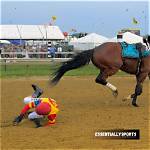 42 Year Old Californian Equestrian Behind Decade Old Horse Show Debacle Pleads Guilty