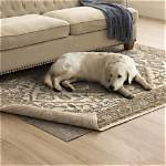 5 Best Rugs for Dogs in 2024 - Reviews & Top Picks