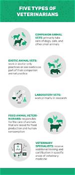 5 Types of Veterinarians & What They Do: 20 Statistics to Know in 2024