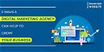 5 Ways a Digital Marketing Agency Can Help Grow Your Business