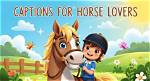 50+ Cute Horse Captions for Pictures of Horses on Instagram
