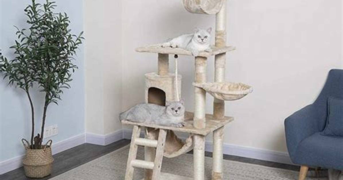 6 Best Cat Trees for Kittens in 2024 - Reviews & Best Picks
