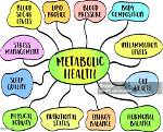 6 Markers of Metabolic Health You Should Know