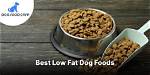 7 Best Low-Fat Dog Foods in 2024 - Reviews & Top Picks